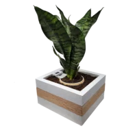 Smart Planter - Image 2