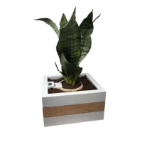 Smart Planter - Image 3