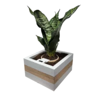 Smart Planter - Image 4
