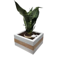Smart Planter - Image 6