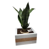 Smart Planter - Image 7