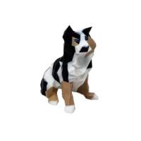 Finn Mascot - Image 2