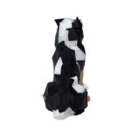 Finn Mascot - Image 5