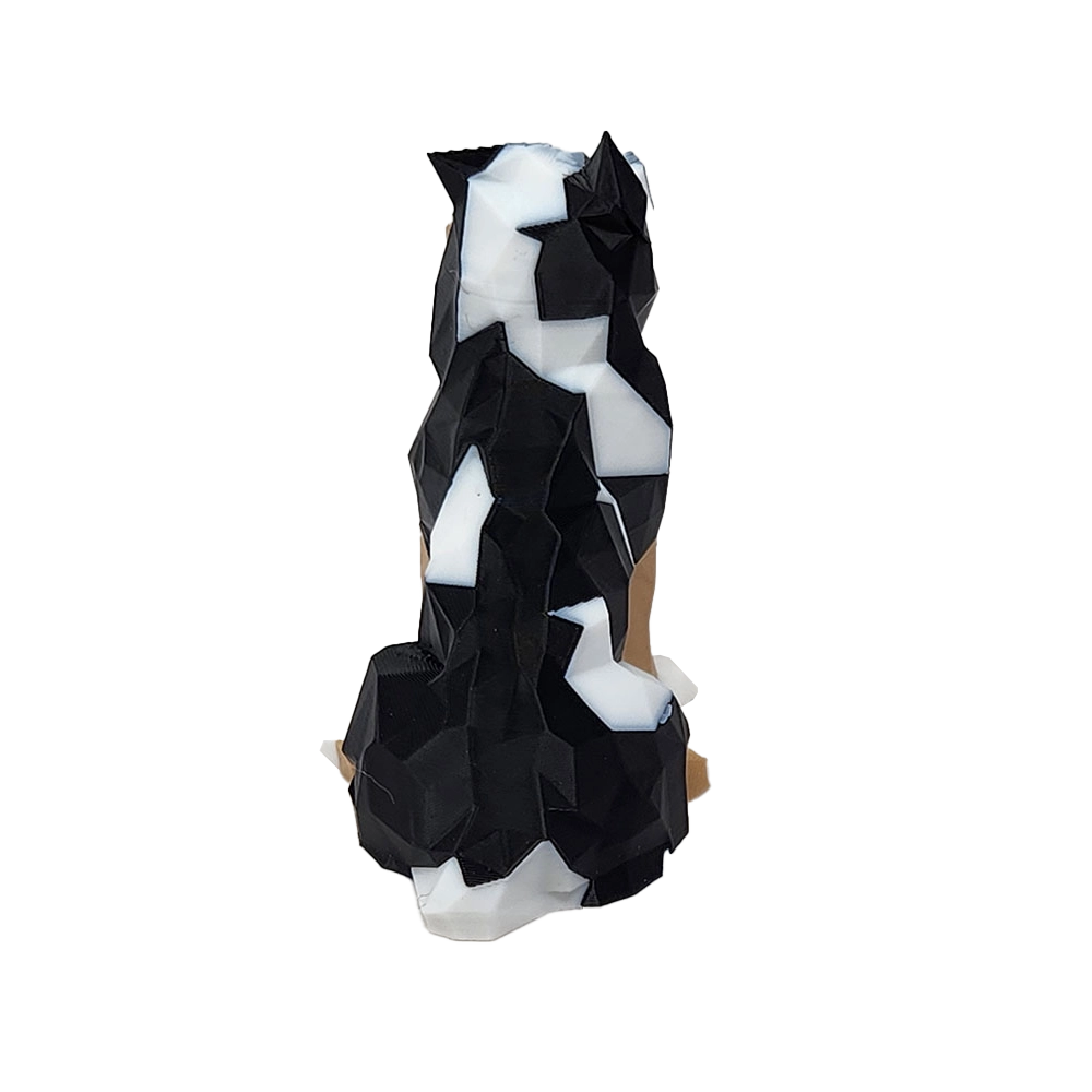 Finn Mascot - Image 5