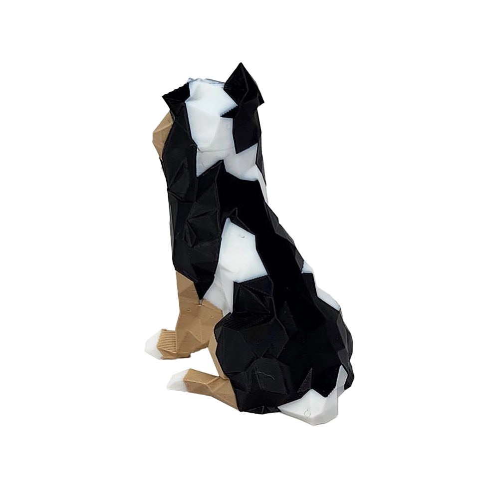 Finn Mascot - Image 6