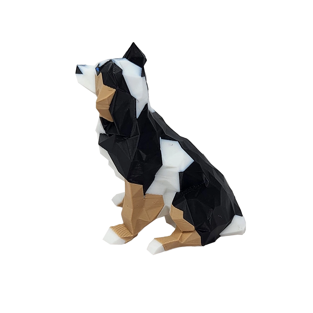 Finn Mascot - Image 7